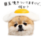 856673290