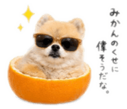 856673291