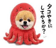 856673316