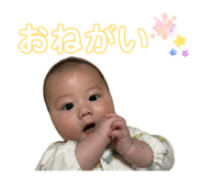 856673531
