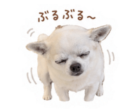 856673875