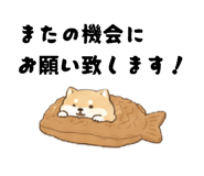 856673955