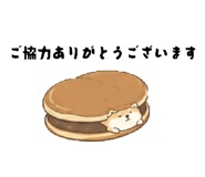 856673966