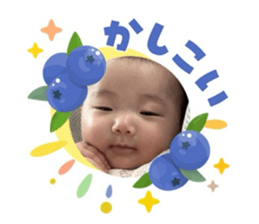 856674067