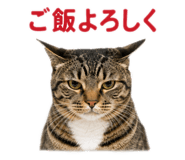 856674355