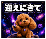 856675016