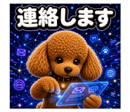 856675020