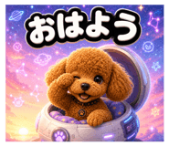 856675024