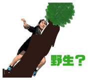 856675323
