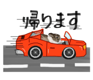 856675381