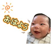 856675446