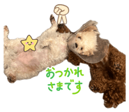 856675481
