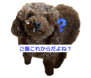 856675484