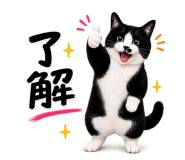 856675516