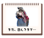 856675610