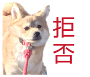 856676243