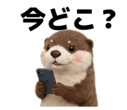 856676310