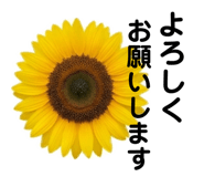 856676314