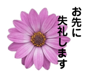 856676330