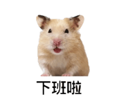 856676338