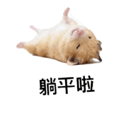856676339