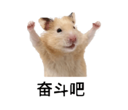 856676340