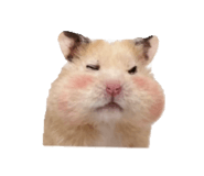 856676344