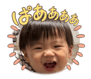 856676427