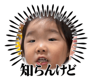 856676434