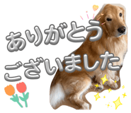 856676454
