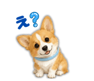 856677186