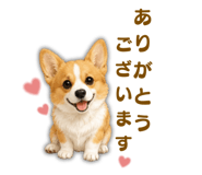 856677188