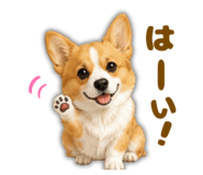 856677189