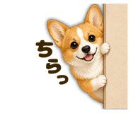 856677191