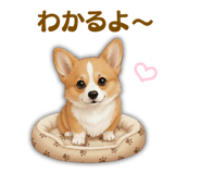 856677195