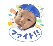 856677256