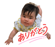 856677305