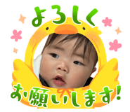 856677311
