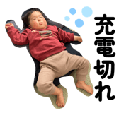 856677445