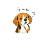 856677982