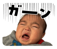 856679086
