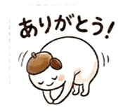 856679129