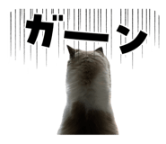 856679538