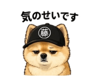856679574