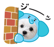 856679643
