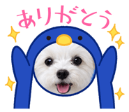 856679644