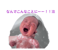 856680069