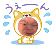 856680138