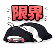 856680240