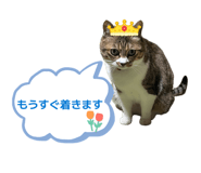 856680781